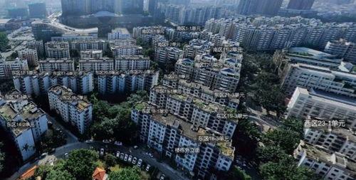 深圳龙岗区最新爆料,聚焦区域发展新动态